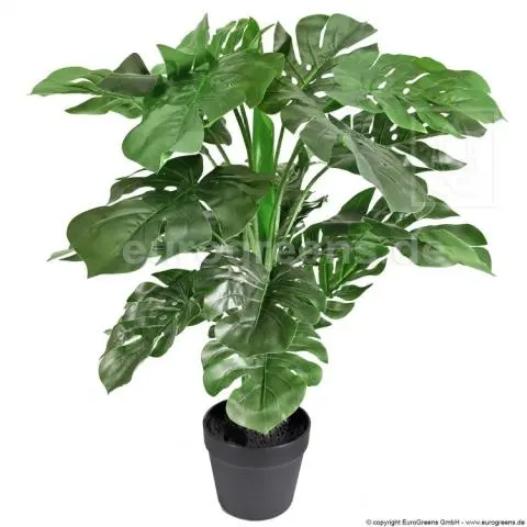 Kunstpflanze künstliche Monstera 75cm