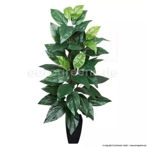 ca. Pflanze 120cm Einsteckstab/ Kunstpflanze Philodendron (mit ungetopft)