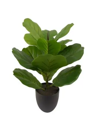 Kunstpflanze Geigenficus ca. 45 cm 