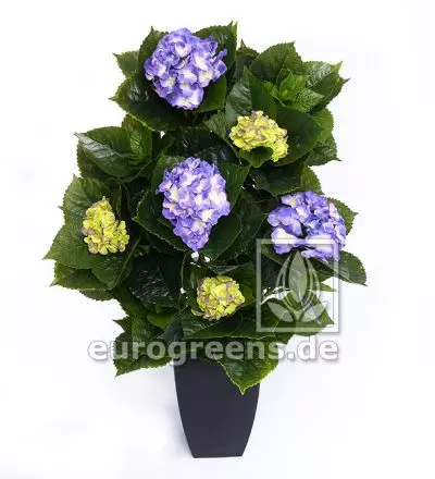 künstliche Hortensien in verschiedenen Farben online kaufen
