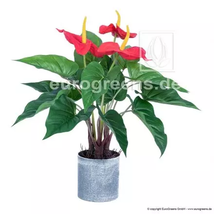Künstliche Anthurium Blume im Topf 48cm Kunstblume Kunstpflanze Zimmerpflanze