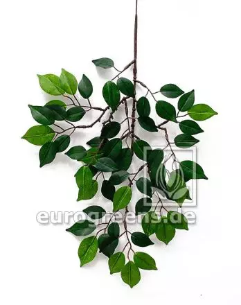 120 Stück Ficuszweig 60cm mit 42 Blättern DA Kunstzweig künstlicher Zweig Ficus 