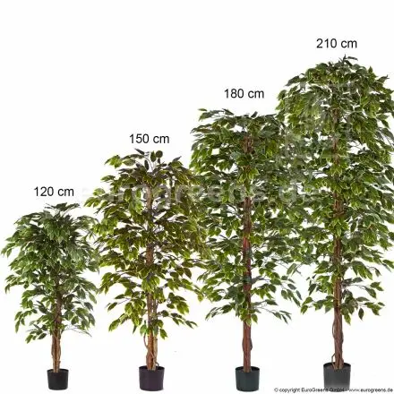 Kunstpflanze Ficus Exotica grün weiss ca. 120cm