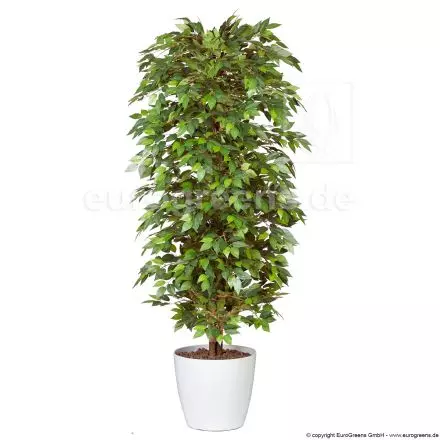 Kunstbaum Säulenficus ca. 140-150cm