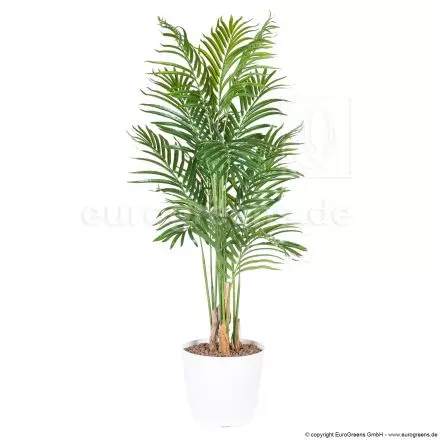 Palmen in vielen künstliche EuroGreens Kentia Größen -