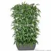 Kunsthecke künstliche Naturstamm Bambus Hecke 180cm Übertopf