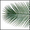 Kunststoff Palmenwedel