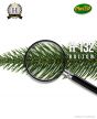 künstlicher edler Spritzguss Weihnachtsbaum Bolton 150cm Nadeln Detail