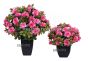 künstliche Blühende Topfpflanze Belgium Azalee pink 40cm Vergleich