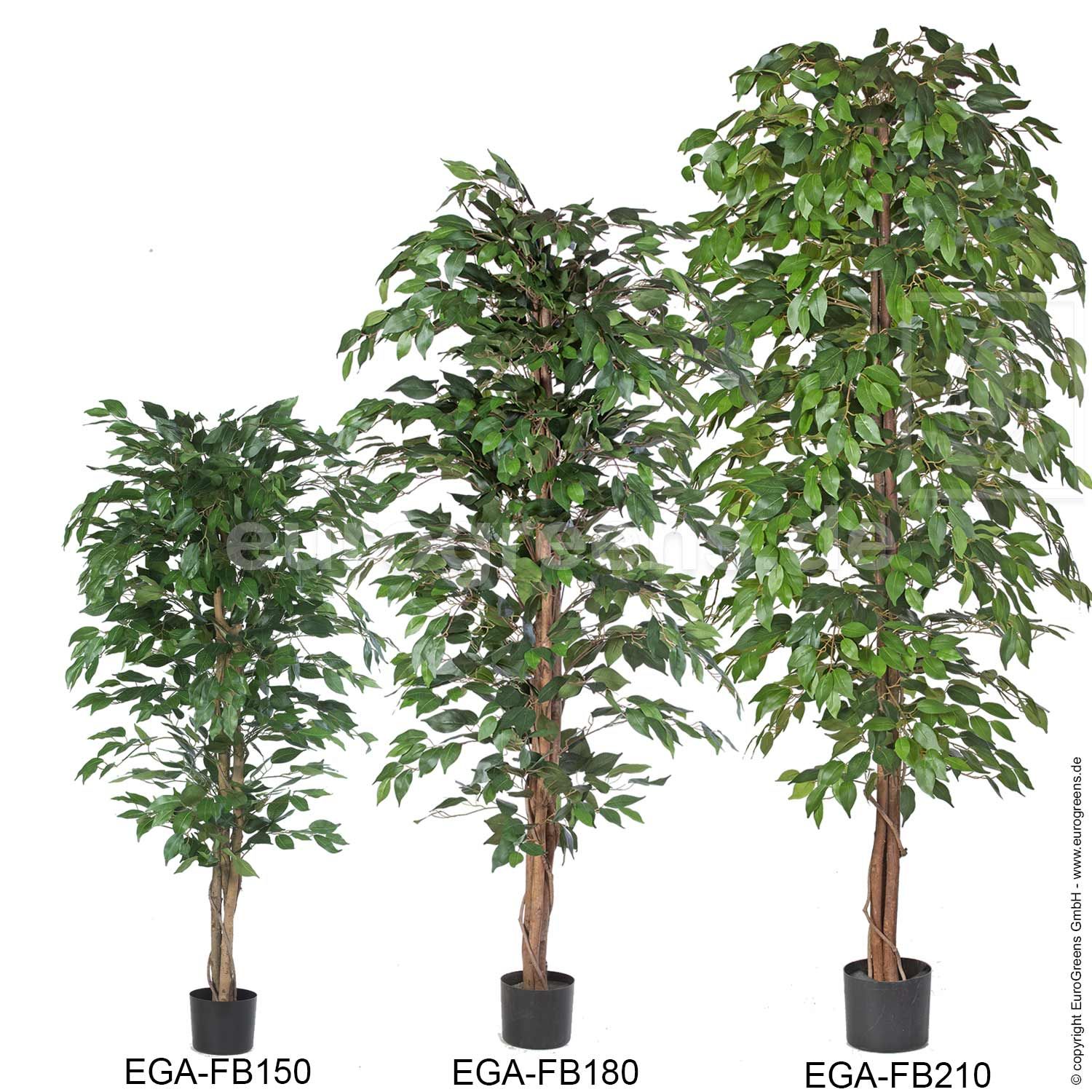 Kunstpflanze: künstlicher Ficus Benjamina 170-180cm kaufen | Kunstbäume