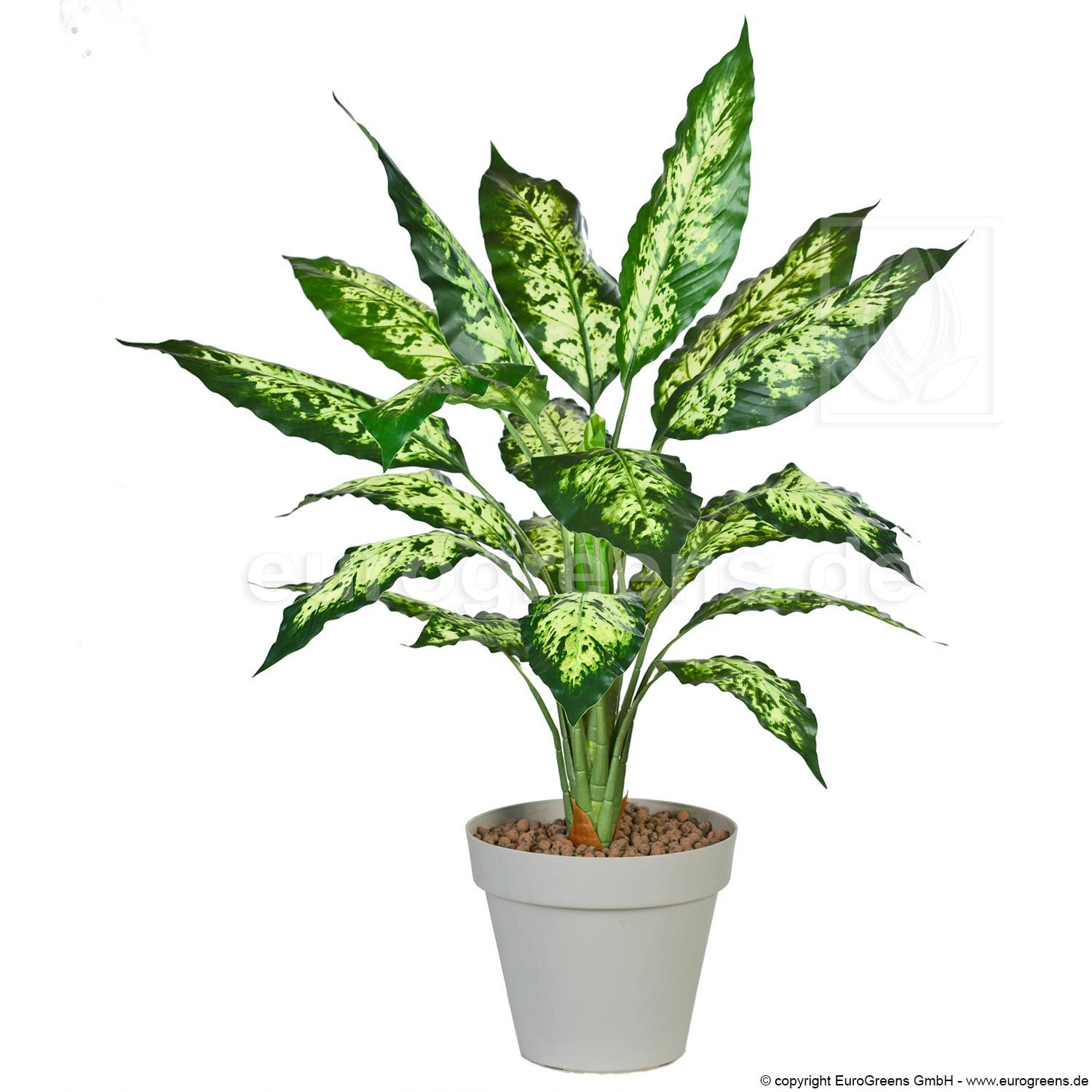 künstliche Dieffenbachia ca. 80cm online bestellen