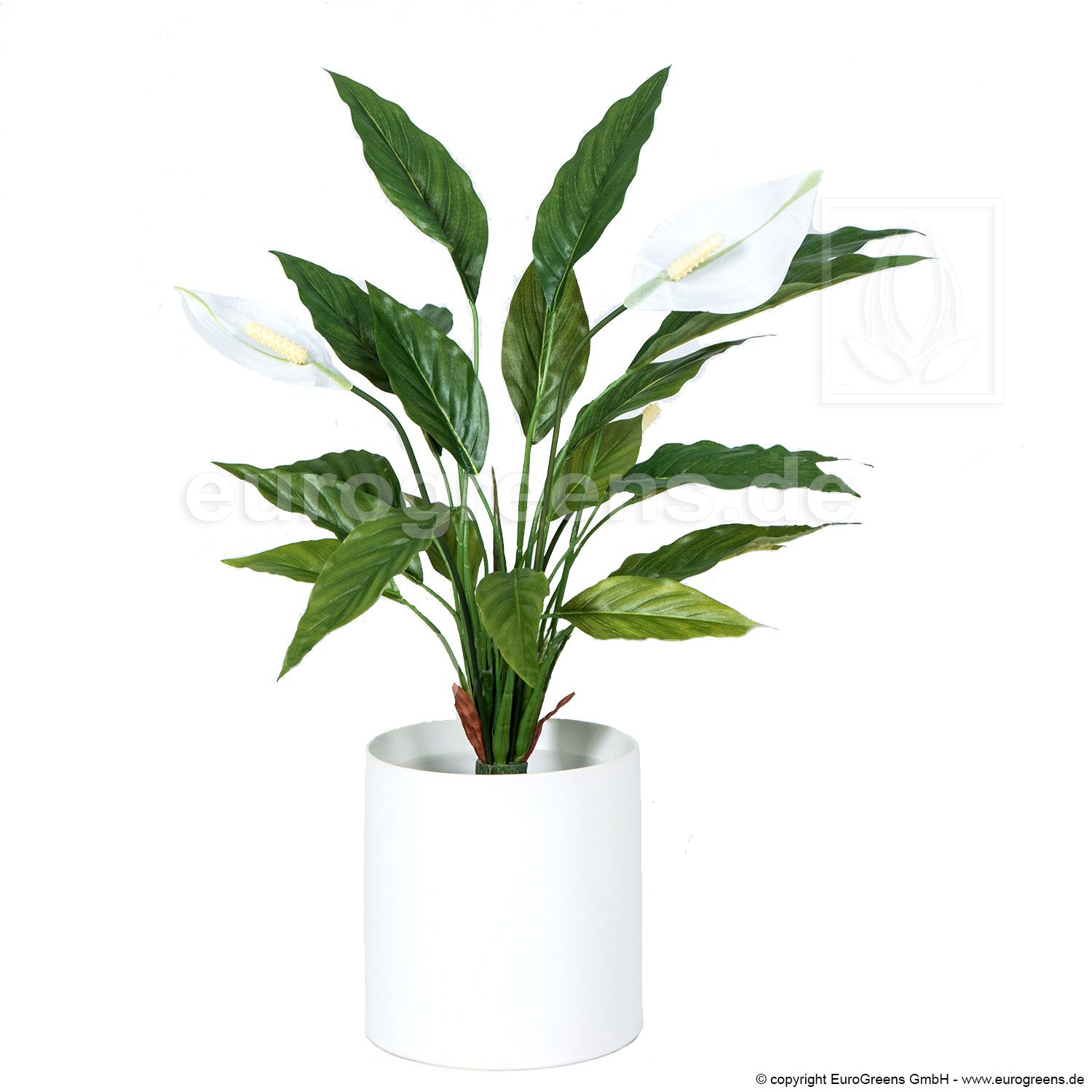 künstliche Spathiphyllum Pflanze ca. 50cm mit 3 Blüten