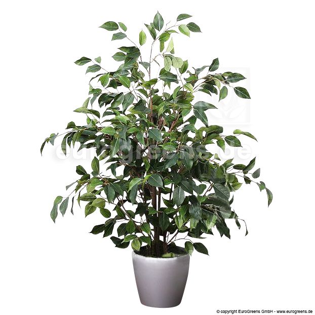 Ficus Luxe De ca. Benjamini Künstlicher 100-110cm