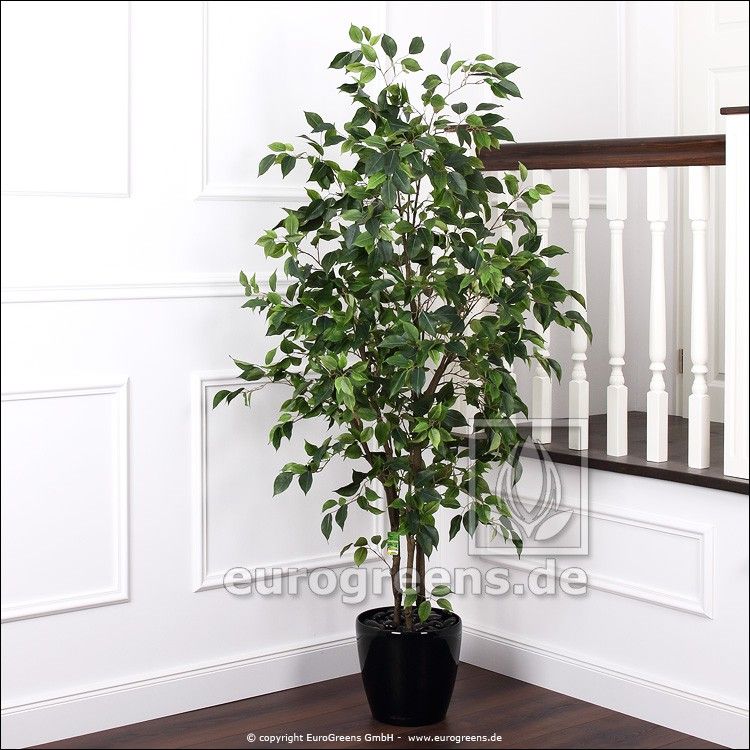 künstlicher Ficus Benjamini 160-170cm Luxe ca. De