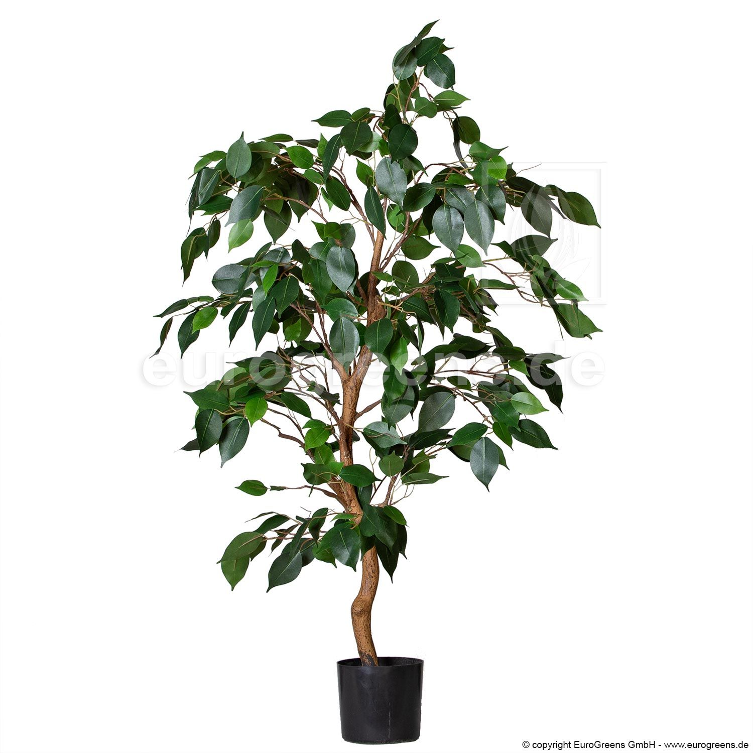künstlichen Ficus Benjamini ca. 70-75cm online bei Eurogreens