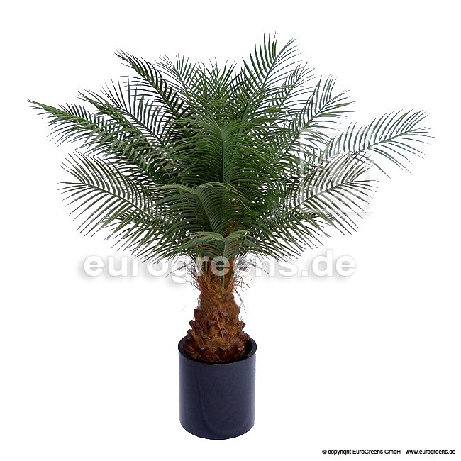 160-170cm Kunstpflanze Dattelpalme Kanarische
