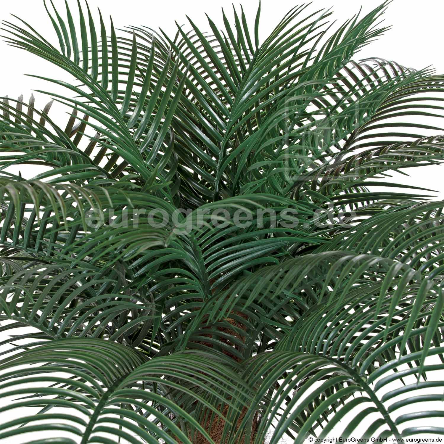Dattelpalme Kunstpflanze Kanarische 160-170cm