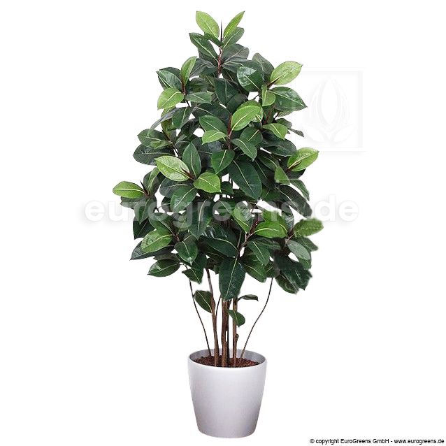 Kunstpflanze Gummibaum ca. 180cm 170