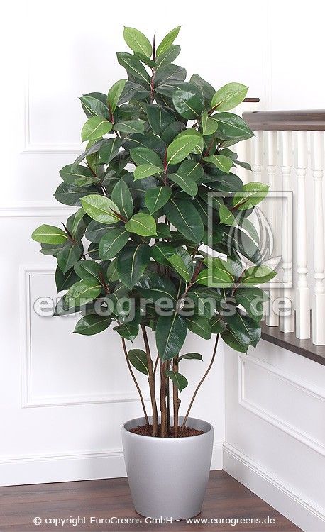 170- Kunstpflanze Gummibaum ca. 180cm