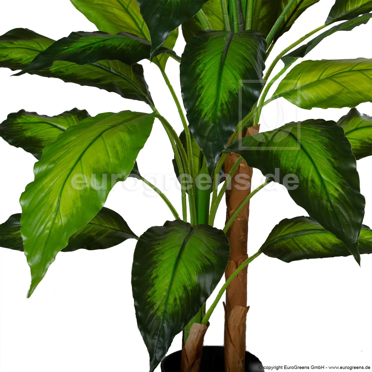 künstliche Dieffenbachia ca. 100-110cm mit Tarpaulinblättern | Kunstpflanzen