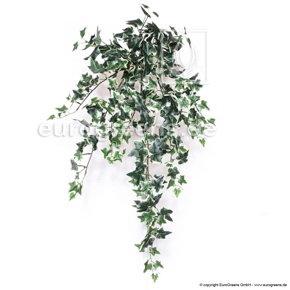 künstliche Efeu Ranke grün- Einsteckstab) (mit ca. weiß/creme 75cm