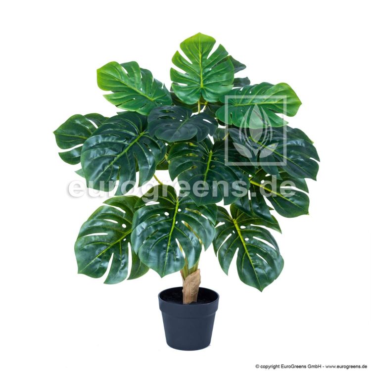 Kunstpflanze Monstera  60 70 cm hoch