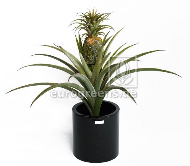 künstliche Ananas Pflanze 75cm 1