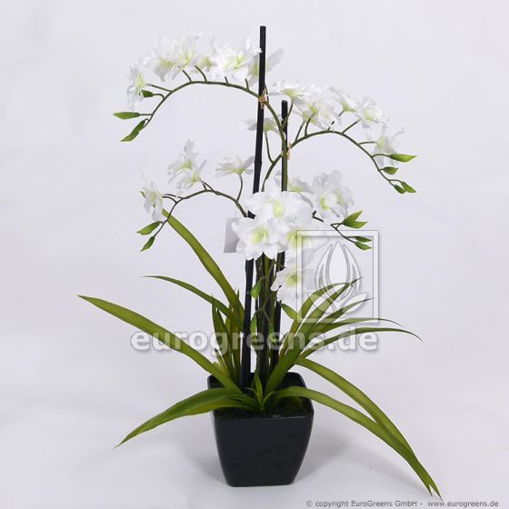 Eg21 1057 Kunstblume Orchidee 1