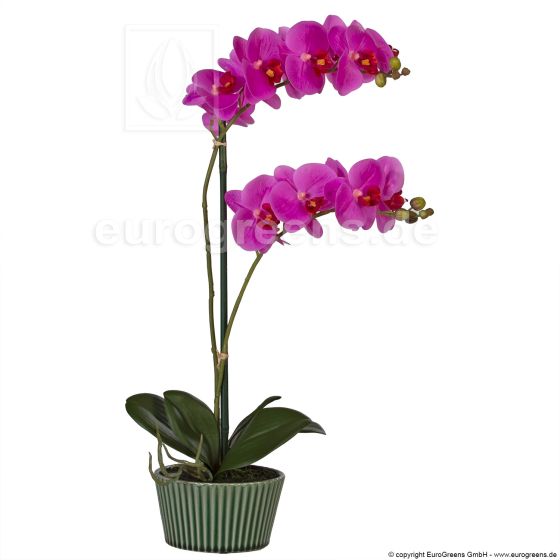 künstliche lila Blühende Orchidee mit Übertopf