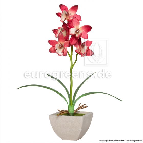 künstliche bordeaux rote Cymbidium Orchidee ca. 50cm