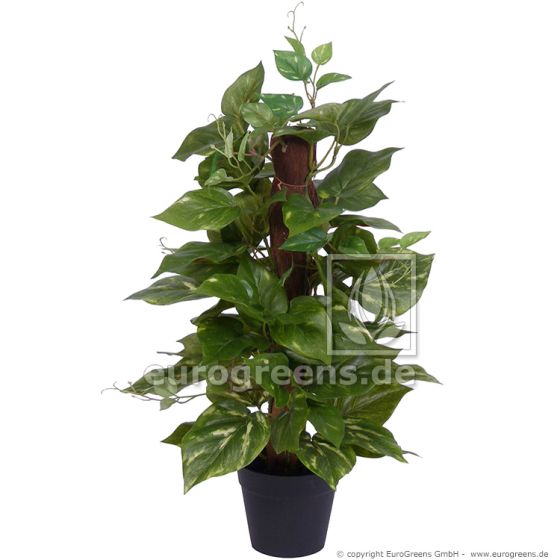 künstliche Topfpflanze Pothospflanze Am Sisalstab ca. 50cm