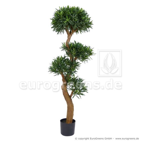 künstlicher Bonsai Podocarpus Tempelbaum De Luxe ca. 140cm Knorriger Stamm