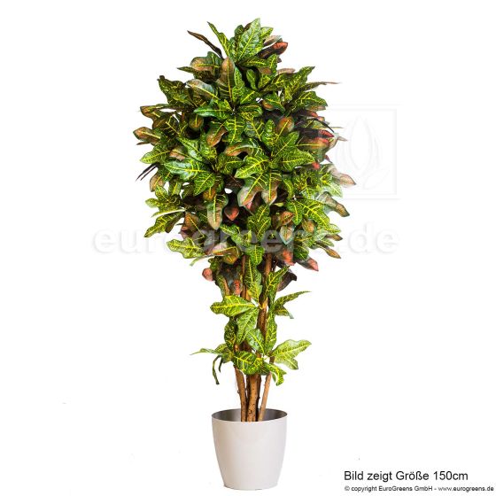 künstlicher Crotonbaum 170cm Übertopf 2023