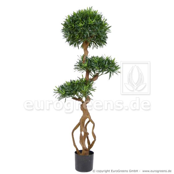 Kunstbonsai künstlicher Podocarpus Tempelbaum De Luxe ca. 140cm