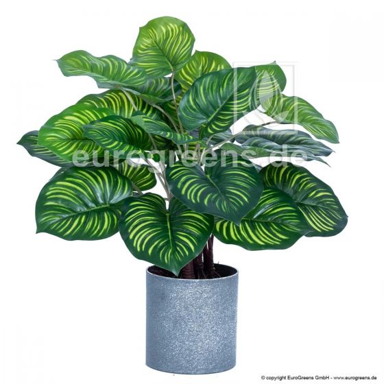Kunstpflanze Caladium Piper Buntwurz Buntblatt 45 cm