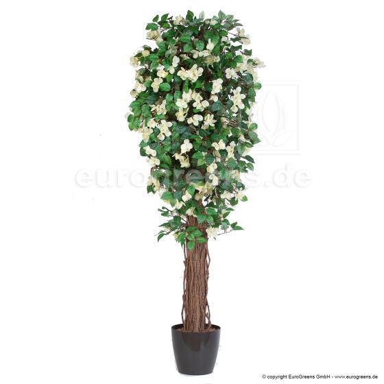 Kunstpflanze künstliche Bougainvillea weiß. creme Blühend 170cm Deko