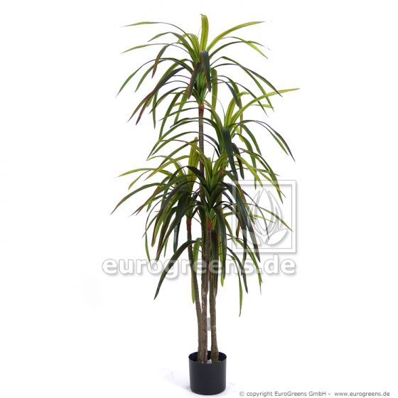 Kunstpflanze künstliche Dracäna Marginata ca. 155cm