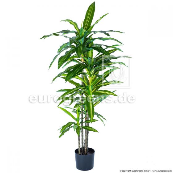 Kunstpflanze künstliche Dracäna Pflanze 170cm