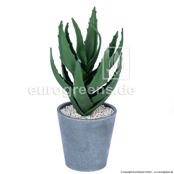 Kunstpflanze künstliche Mini Agava 30cm 1
