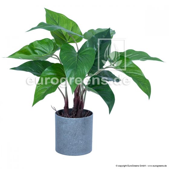 Kunstpflanzen Anthurie Getopft 40cm