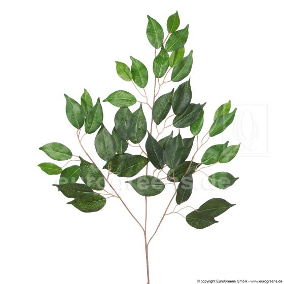 Kunstzweig künstlicher Ficuszweig 50cm Lang grün