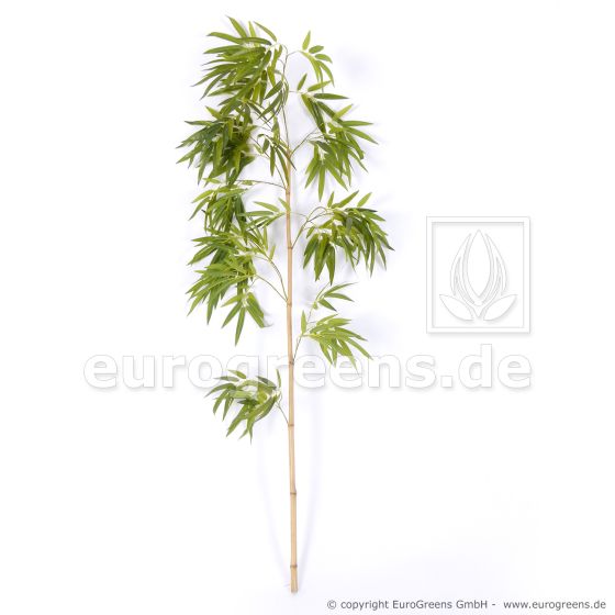 Naturstamm Chinesischer Bambus Stab mit Blättern ca. 150cm