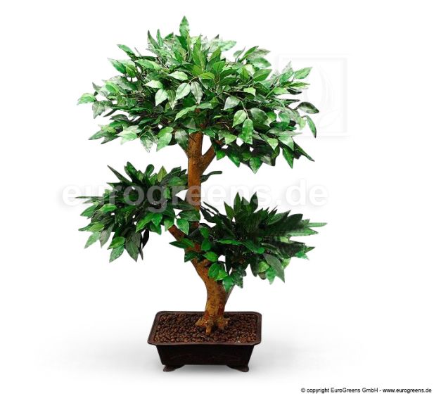 künstlicher Bonsai Mini Ficus 80cm