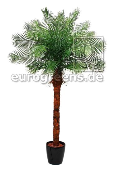 Kunstpalme künstliche Phönix Palme 210cm