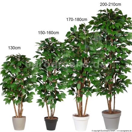 Kunstpflanze Kaffeebaum ca. 150-160 cm