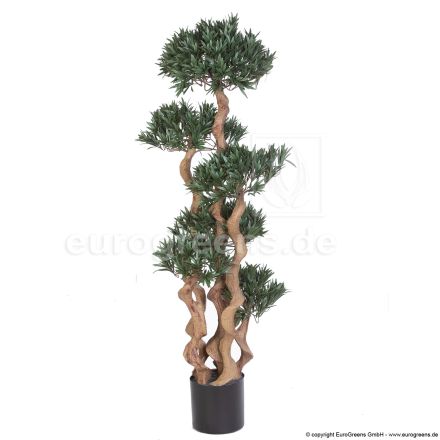 Kunstpflanze Crazy-Podocarpus Bonsai ca. 135cm