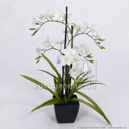 künstliche creme-weiße Orchidee in schwarzem Melamintopf ca. 70cm