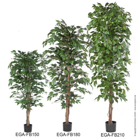 Kunstpflanze Ficus Benjamini grün ca. 210cm
