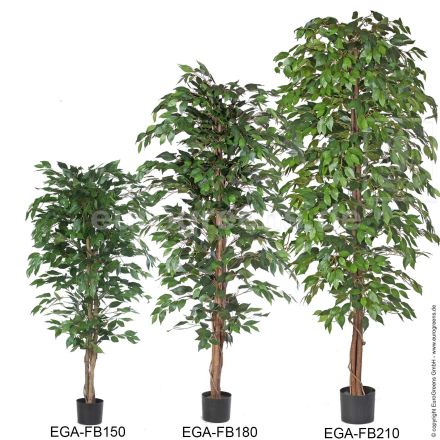 Kunstpflanze Ficus Benjamini grün  ca. 150cm