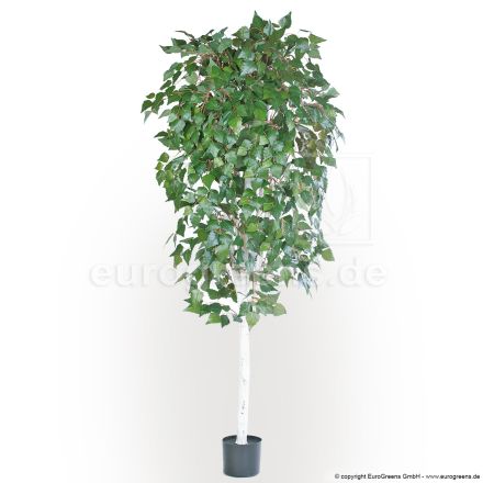 Kunstpflanze Birkenbaum Deluxe ca. 180cm